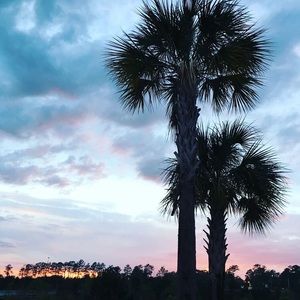 Meet your Posher, Marianne